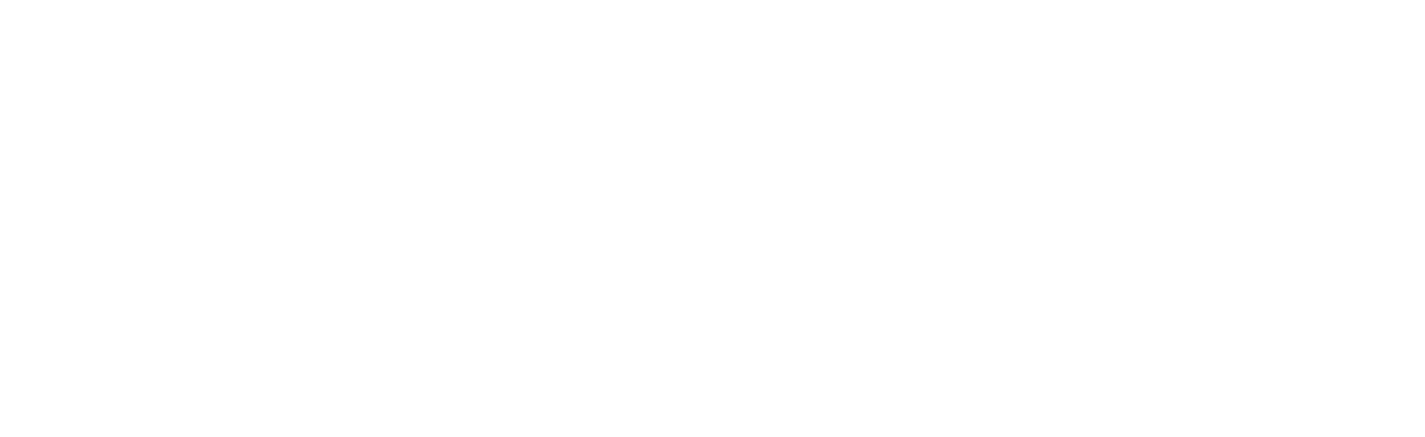 primevideologo